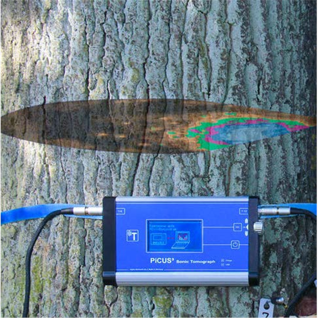 德国Argus PiCUS-3弹性波树木断层画像诊断仪